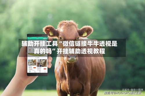 辅助开挂工具“微信链接牛牛透视是真的吗	”开挂辅助透视教程-第1张图片