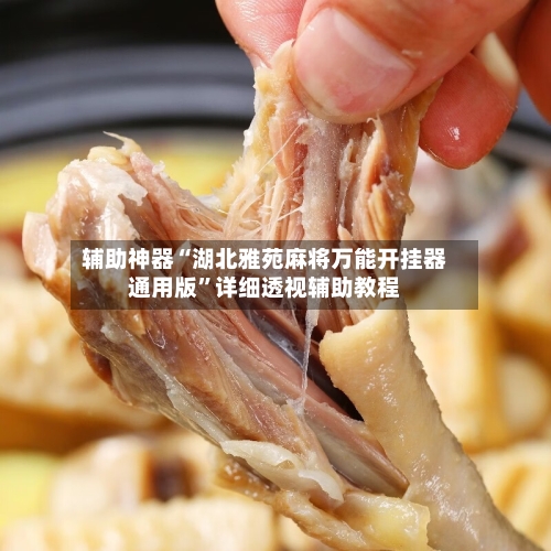 辅助神器“湖北雅苑麻将万能开挂器通用版”详细透视辅助教程-第2张图片