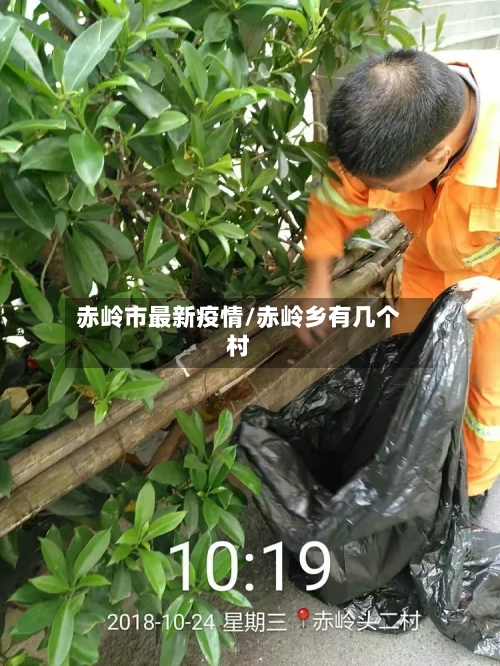 赤岭市最新疫情/赤岭乡有几个村-第2张图片