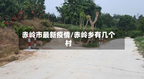 赤岭市最新疫情/赤岭乡有几个村-第1张图片