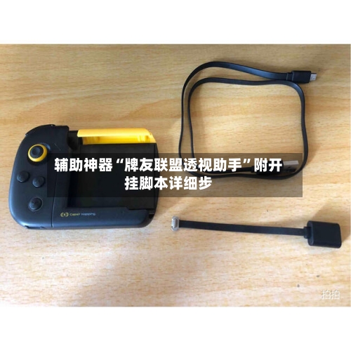 辅助神器“牌友联盟透视助手”附开挂脚本详细步-第1张图片