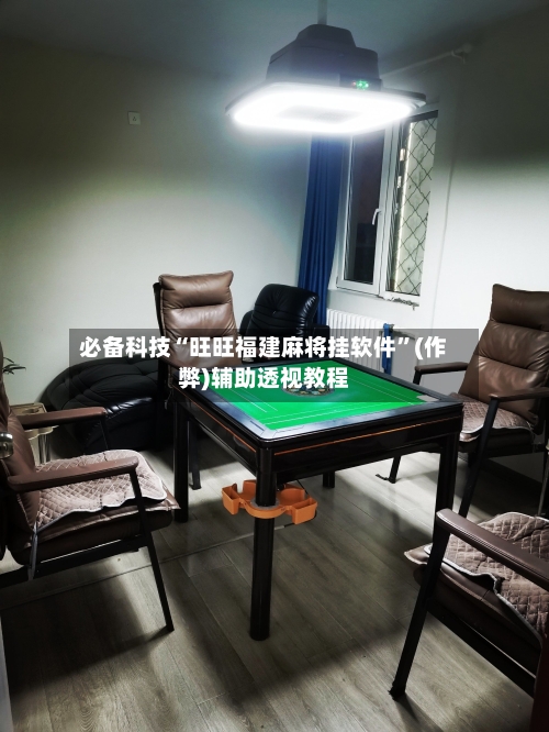 必备科技“旺旺福建麻将挂软件”(作弊)辅助透视教程-第2张图片