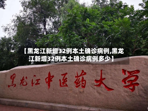 【黑龙江新增32例本土确诊病例,黑龙江新增32例本土确诊病例多少】-第2张图片