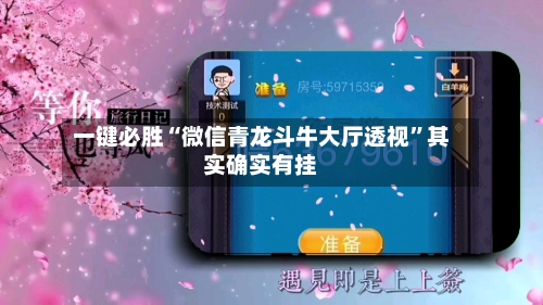 一键必胜“微信青龙斗牛大厅透视	”其实确实有挂-第2张图片