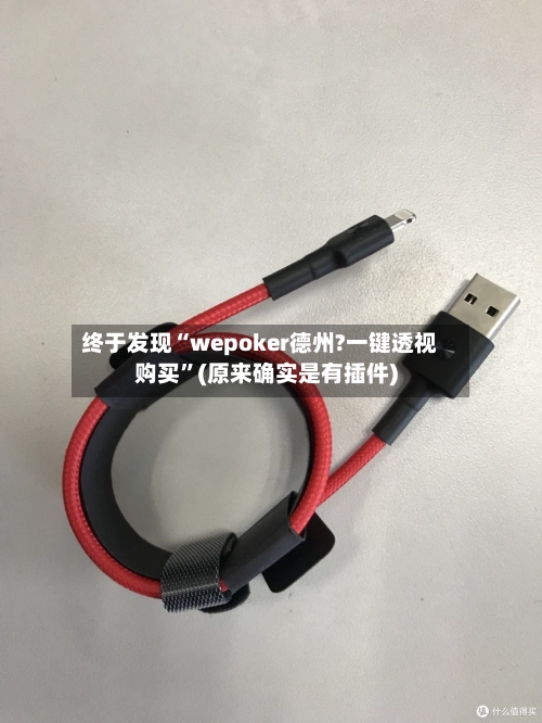 终于发现“wepoker德州?一键透视购买”(原来确实是有插件)-第1张图片