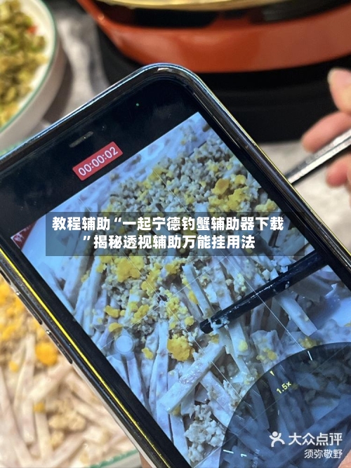 教程辅助“一起宁德钓蟹辅助器下载”揭秘透视辅助万能挂用法-第2张图片