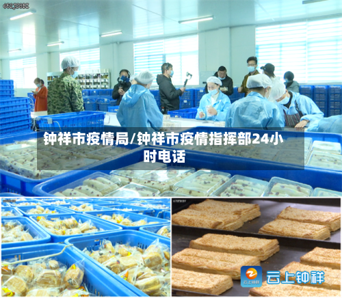 钟祥市疫情局/钟祥市疫情指挥部24小时电话-第1张图片