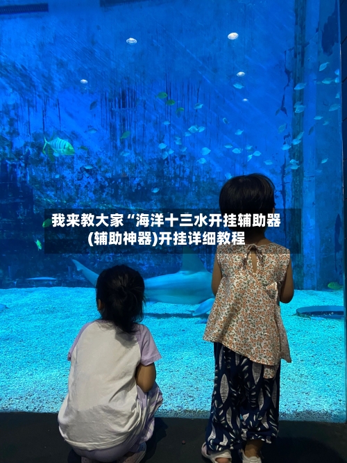 我来教大家“海洋十三水开挂辅助器(辅助神器)开挂详细教程-第1张图片