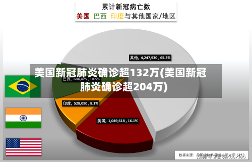 美国新冠肺炎确诊超132万(美国新冠肺炎确诊超204万)-第2张图片