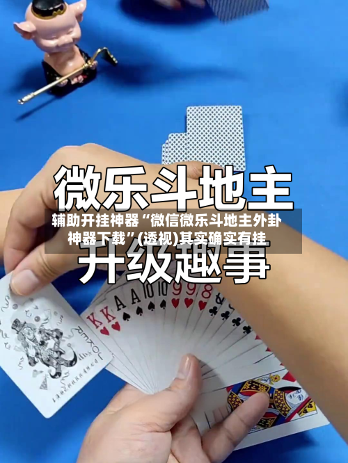 辅助开挂神器“微信微乐斗地主外卦神器下载	”(透视)其实确实有挂-第1张图片