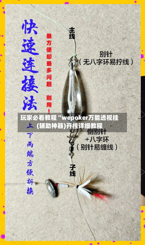 玩家必看教程“wepoker万能透视挂(辅助神器)开挂详细教程-第2张图片
