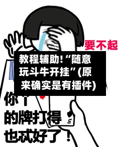 教程辅助!“随意玩斗牛开挂”(原来确实是有插件)-第1张图片