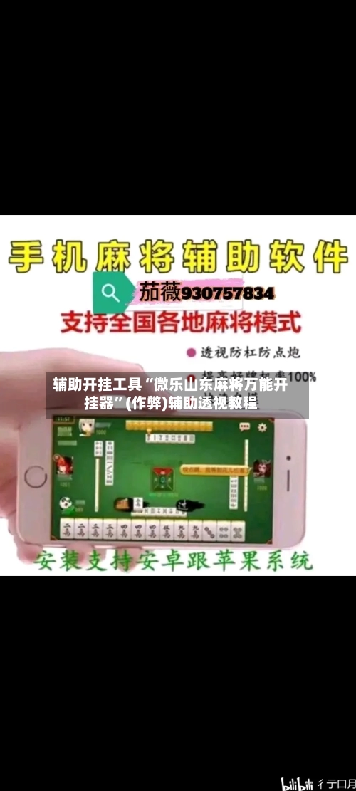 辅助开挂工具“微乐山东麻将万能开挂器”(作弊)辅助透视教程-第1张图片