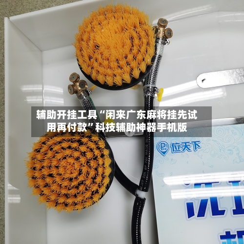 辅助开挂工具“闲来广东麻将挂先试用再付款	”科技辅助神器手机版-第2张图片