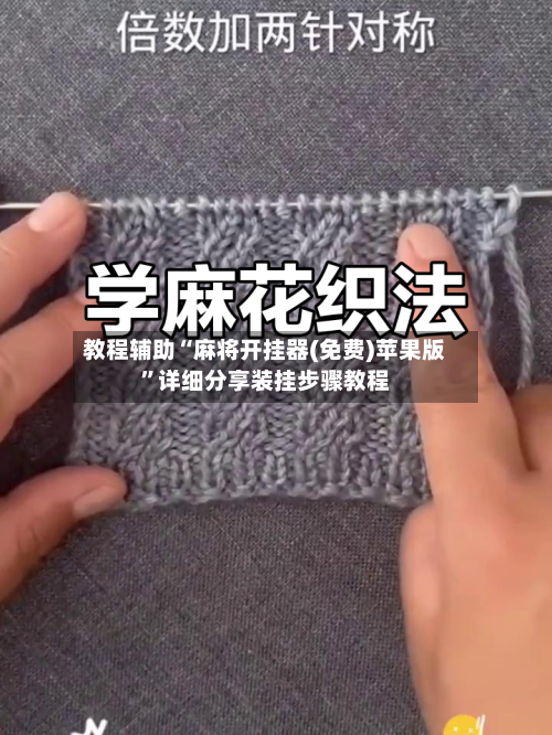 教程辅助“麻将开挂器(免费)苹果版”详细分享装挂步骤教程-第2张图片