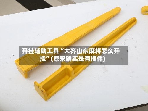 开挂辅助工具“大齐山东麻将怎么开挂	”(原来确实是有插件)-第2张图片