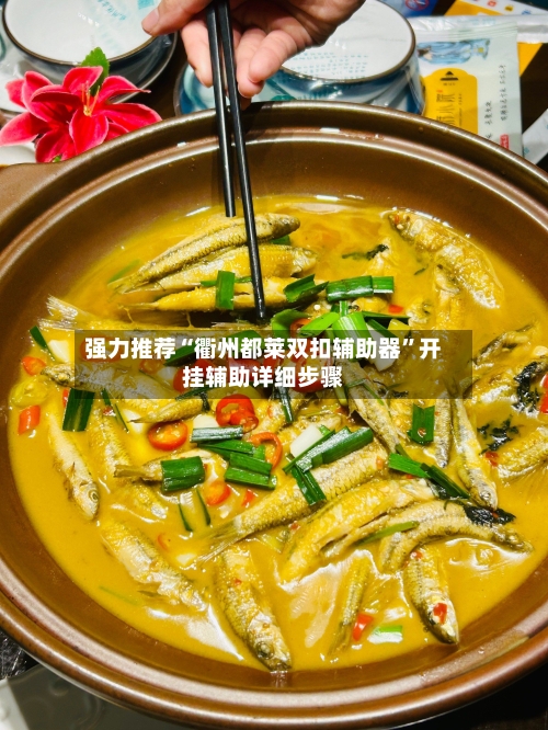 强力推荐“衢州都莱双扣辅助器”开挂辅助详细步骤-第3张图片