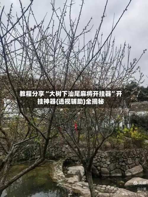 教程分享“大树下汕尾麻将开挂器”开挂神器{透视辅助}全揭秘-第3张图片