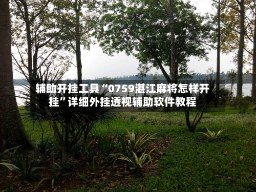 辅助开挂工具“0759湛江麻将怎样开挂”详细外挂透视辅助软件教程-第2张图片