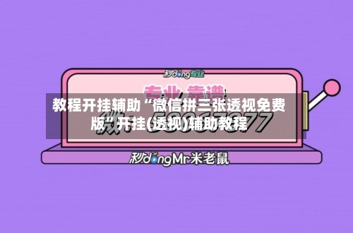 教程开挂辅助“微信拼三张透视免费版”开挂(透视)辅助教程-第3张图片