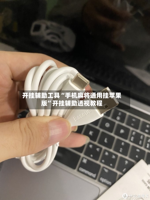开挂辅助工具“手机麻将通用挂苹果版”开挂辅助透视教程-第3张图片