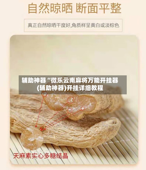 辅助神器“微乐云南麻将万能开挂器(辅助神器)开挂详细教程-第2张图片