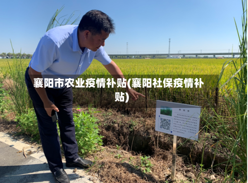 襄阳市农业疫情补贴(襄阳社保疫情补贴)-第1张图片
