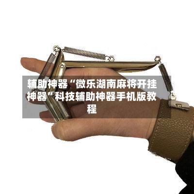 辅助神器“微乐湖南麻将开挂神器”科技辅助神器手机版教程-第3张图片