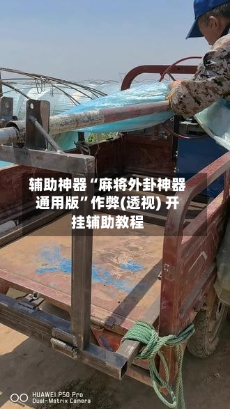 辅助神器“麻将外卦神器通用版	”作弊(透视) 开挂辅助教程-第3张图片