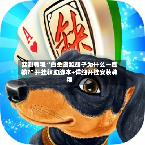 实测教程“白金岛跑胡子为什么一直输?”开挂辅助脚本+详细开挂安装教程-第2张图片