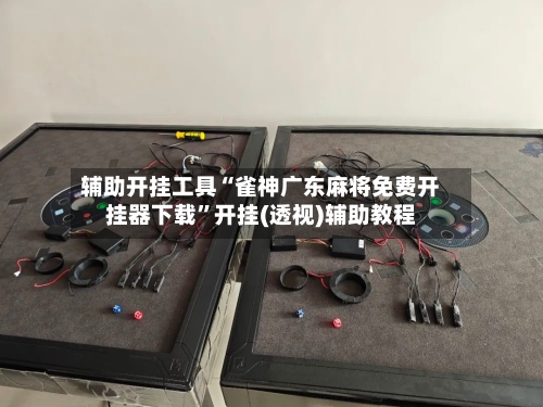 辅助开挂工具“雀神广东麻将免费开挂器下载”开挂(透视)辅助教程-第1张图片