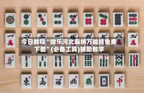 今日教程“微乐河北麻将万能挂免费下载”(必备工具)辅助教学-第2张图片