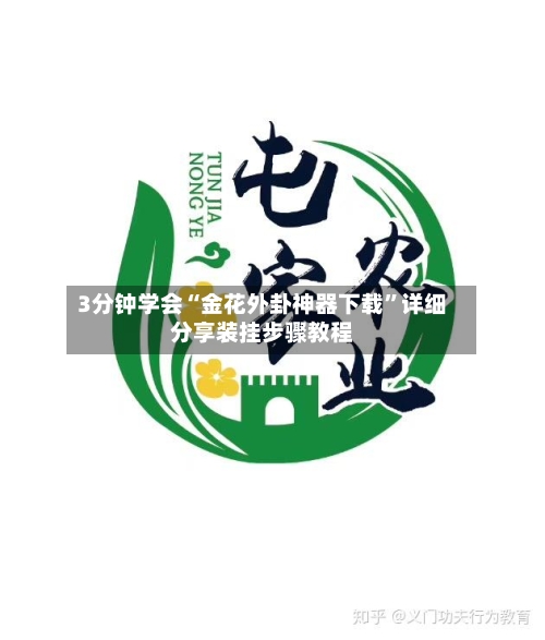 3分钟学会“金花外卦神器下载”详细分享装挂步骤教程-第1张图片