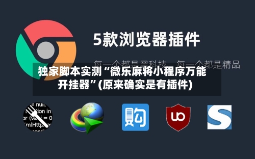 独家脚本实测“微乐麻将小程序万能开挂器”(原来确实是有插件)-第3张图片