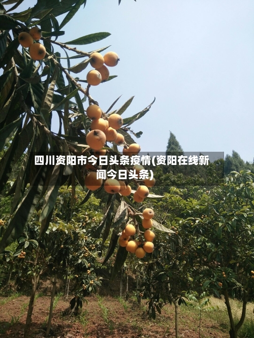 四川资阳市今日头条疫情(资阳在线新闻今日头条)-第3张图片