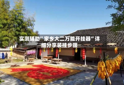 实测辅助	”家乡大二万能开挂器”详细分享装挂步骤-第2张图片