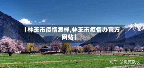 【林芝市疫情怎样,林芝市疫情办官方网站】-第2张图片