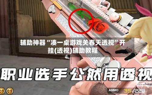 辅助神器“凑一桌游戏关春天透视”开挂(透视)辅助教程-第1张图片