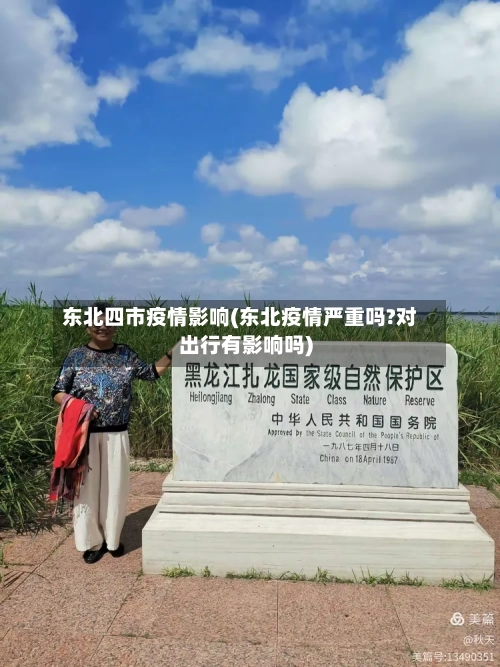 东北四市疫情影响(东北疫情严重吗?对出行有影响吗)-第3张图片