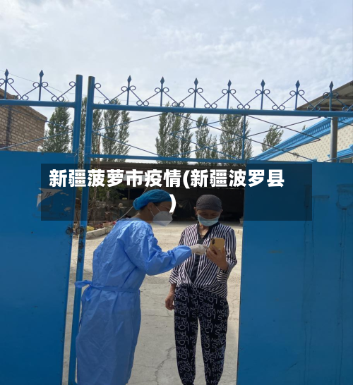 新疆菠萝市疫情(新疆波罗县)-第3张图片
