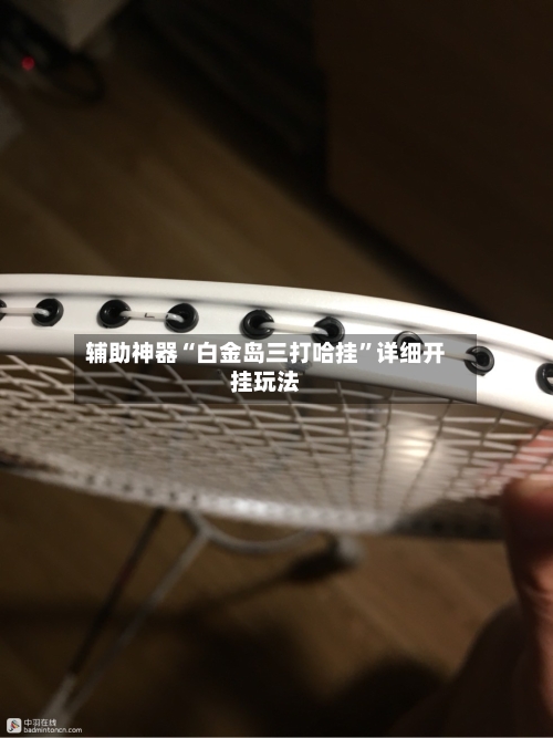 辅助神器“白金岛三打哈挂”详细开挂玩法-第1张图片