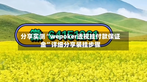 分享实测“wepoker透视挂付款保证金”详细分享装挂步骤-第1张图片