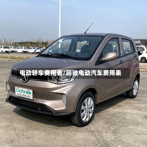 电动轿车费用表/丽驰电动汽车费用表-第1张图片
