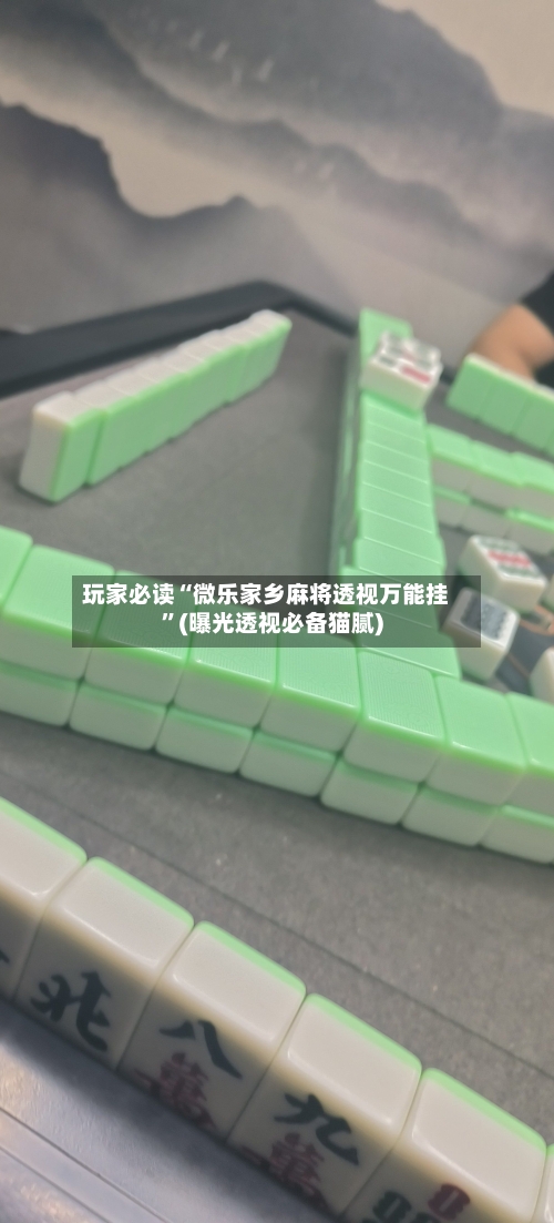 玩家必读“微乐家乡麻将透视万能挂”(曝光透视必备猫腻)-第2张图片