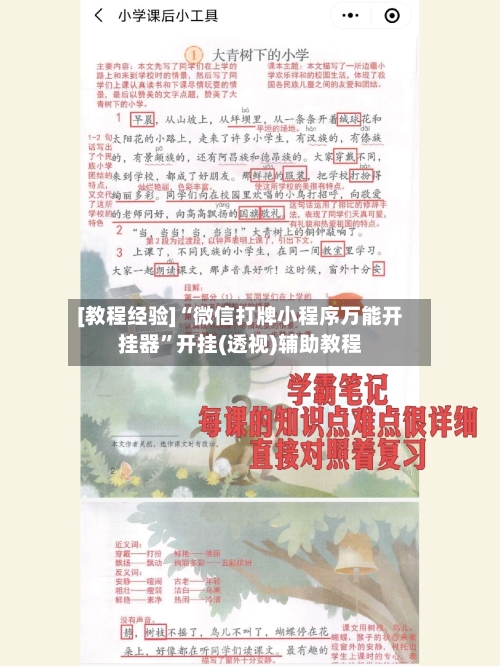 [教程经验]“微信打牌小程序万能开挂器”开挂(透视)辅助教程-第1张图片