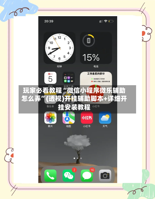 玩家必看教程“微信小程序微乐辅助怎么弄”(透视)开挂辅助脚本+详细开挂安装教程-第3张图片