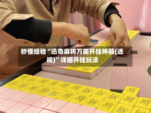 秒懂经验“迅奇麻将万能开挂神器(透视)”详细开挂玩法-第2张图片