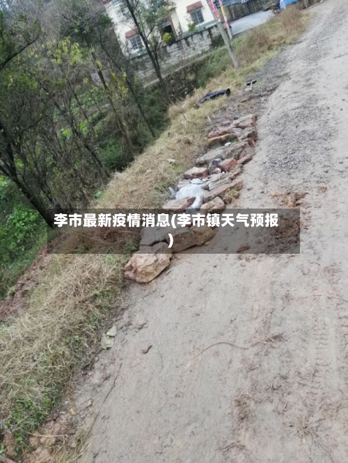 李市最新疫情消息(李市镇天气预报)-第1张图片
