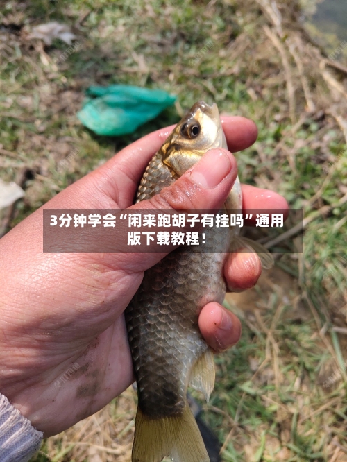 3分钟学会“闲来跑胡子有挂吗	”通用版下载教程！-第1张图片