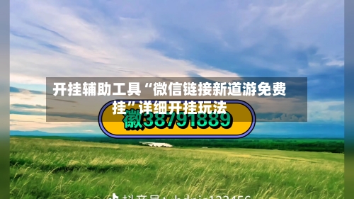 开挂辅助工具“微信链接新道游免费挂”详细开挂玩法-第2张图片